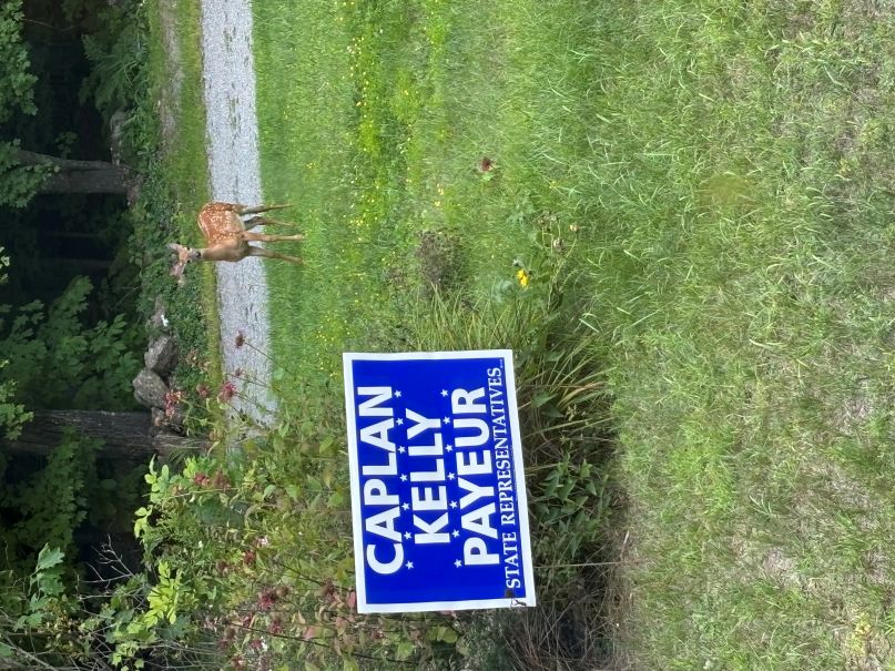 We have a new voter!